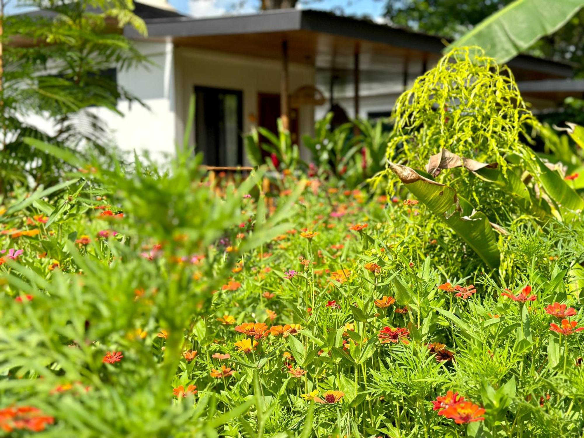 Almendros Eco-Villas La Fortuna Eksteriør bilde
